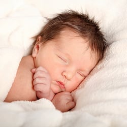 IMG 7758 web
