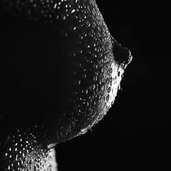Akt