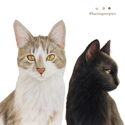 Dharma und Cristi