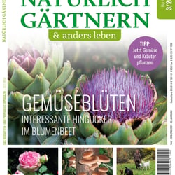 NG & AL Ausgabe 03/2022