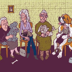 Beim Tierarzt / Freie Illustration