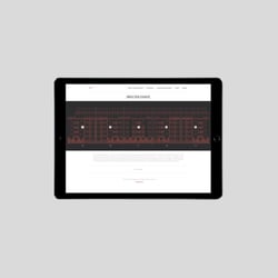 portfolio-website-pulse-4