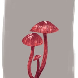 Mushrooms, drawn in Procreate