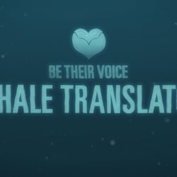 Ocean Care & WDC „Whale Translator“