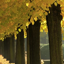Tierpark Berlin
