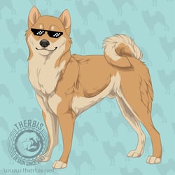 Shib-imba Auftrag