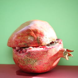 Granatapfel November 2012
