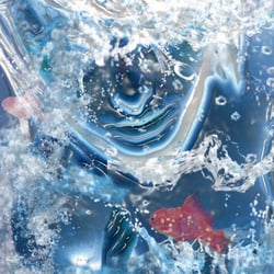 Unter Wasser