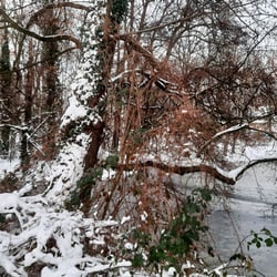 Winter in Bremen