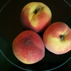 Früchte 04