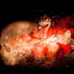 Vanitas
