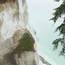 Kreidefelsen Møns Klint