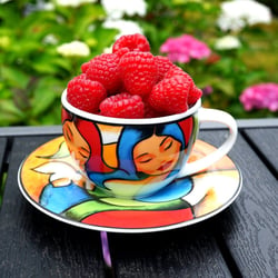 Rosenthal Kaffeetassen