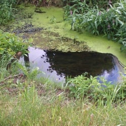 Natur 2012