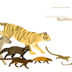 Katzenartige Raubtiere