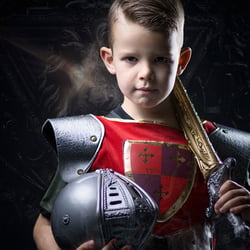 Brave Knight