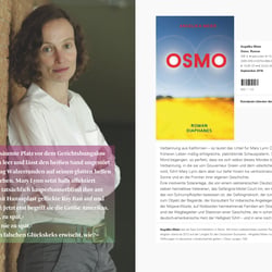 Covergestaltung, Layout und Satz