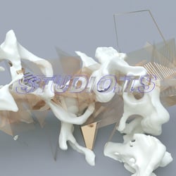 logotype02
