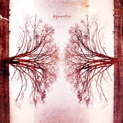 Symmetrie
