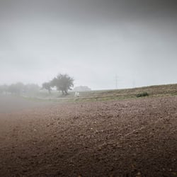 Im Herbst