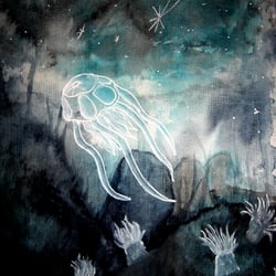 jellyfish