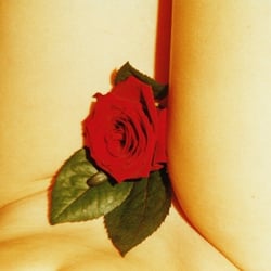 Rose’s secret