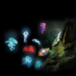 In der Tiefsee; aus: „Das total verbammelte Super Tummelsurium der Tiere“, Carlsen 2015