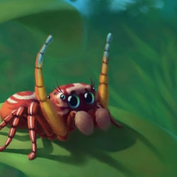 Springspinne
