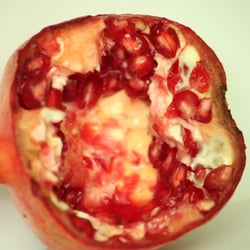 Granatapfel November 2012