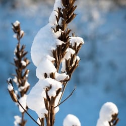 Winter 2012