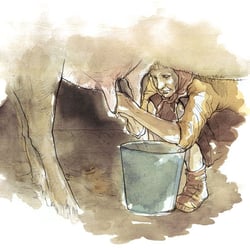 Village Life