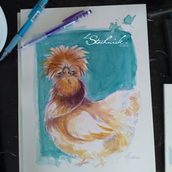 Seidenhuhn 21 × 30 cm
