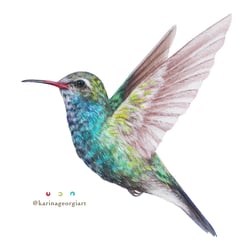Colibrí