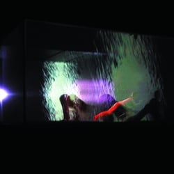 MOVING GALLERY. Performance 2001 – 2003