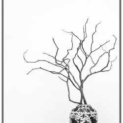 Abstrakt