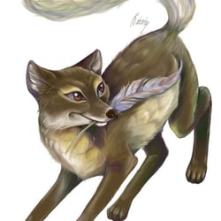 polar-fox-final