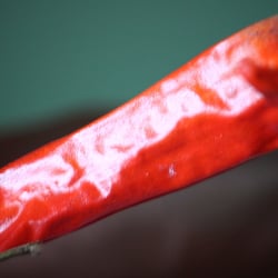 Peperoni Red…08