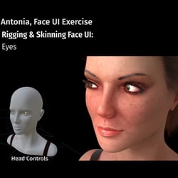 antonia reducedVersion19