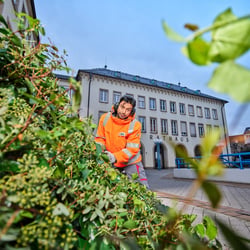 Porträt im Außendienst