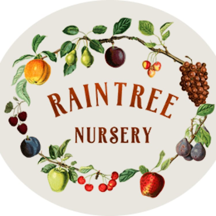 Raintree Nursery