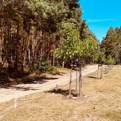 Uckermark / 2022