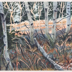 Espenwald 21 × 29,7 cm