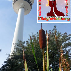 Pompesel vorm Fernsehturm