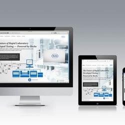 Roche Flow Responsive Website