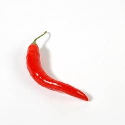Chilli 1