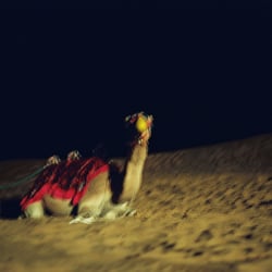By Angela Hechtfisch „Wüste“