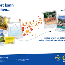 Condor im Deluxe Mallorca Magazin