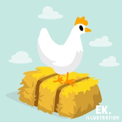 chicken