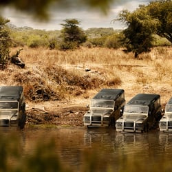 Tiere am Wasserloch