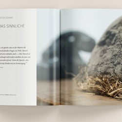 Aus KUNST SEHEN, Band 14: Joseph Beuys